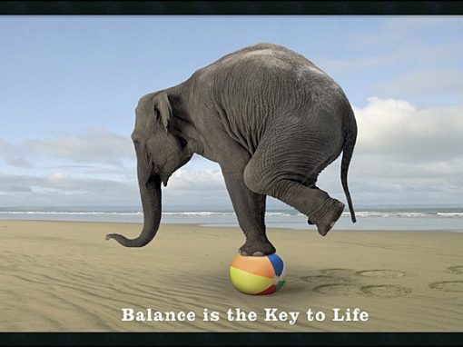 Balance Is The Key To Life
