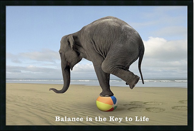 Balance is the key to life