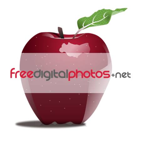 Free Digital Photos